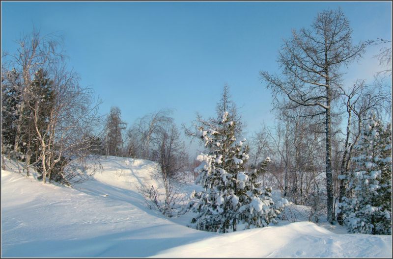 Красавица зима, какой мы её любим !!! (19 фото)